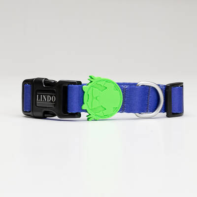 Monster Collar - 3