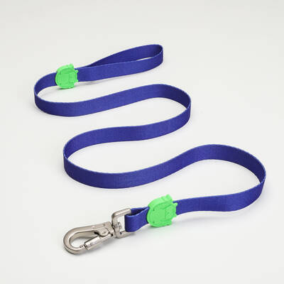 Monster Leash - 1