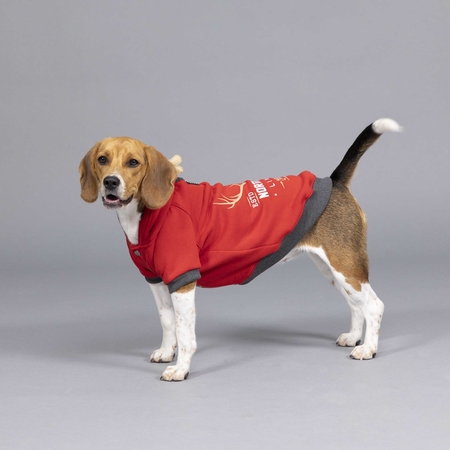 Lindodogs - North Deer Kırmızı Küçük ve Orta Irk Köpek Sweatshirt (1)