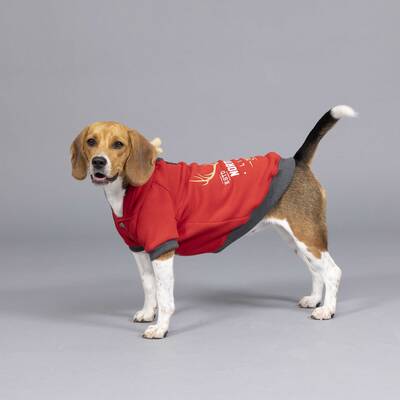 North Deer Kırmızı Küçük ve Orta Irk Köpek Sweatshirt - 2