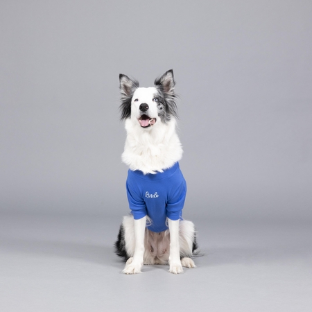 Lindodogs - On The Clouds Flex Body (1)