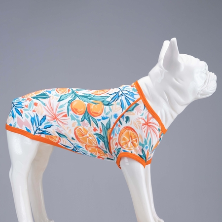 Orange Blossom Küçük, Orta ve Büyük Irk Köpek Tshirt - 3