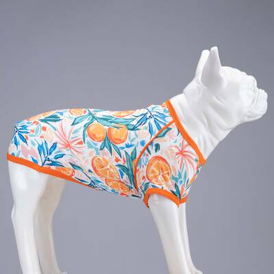 Orange Blossom Küçük, Orta ve Büyük Irk Köpek Tshirt - 3
