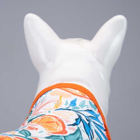 Orange Blossom Küçük, Orta ve Büyük Irk Köpek Tshirt - 4
