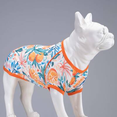 Orange Blossom Küçük, Orta ve Büyük Irk Köpek Tshirt - 1