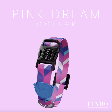 Pink Dream Boyun Tasması - 4