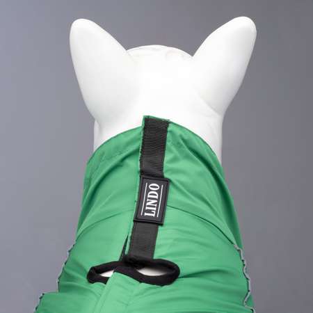 Quattro Nebula Dog Raincoat - 3