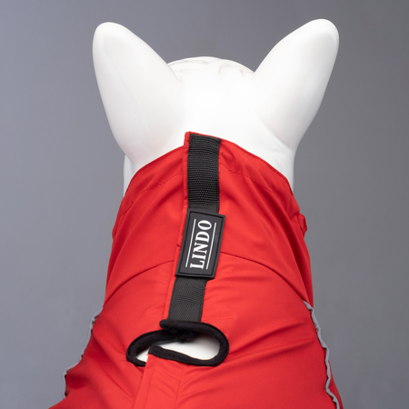 Quattro Nova Dog Raincoat - 4