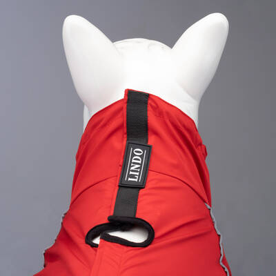 Quattro Nova Dog Raincoat - 4