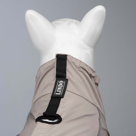 Quattro Sirius Dog Raincoat - 4