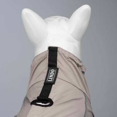 Quattro Sirius Dog Raincoat - 4