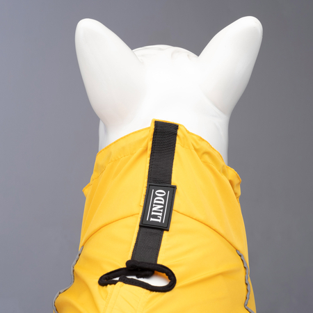 Quattro Vega Dog Raincoat - 3