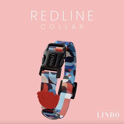 Redline Collar - 4