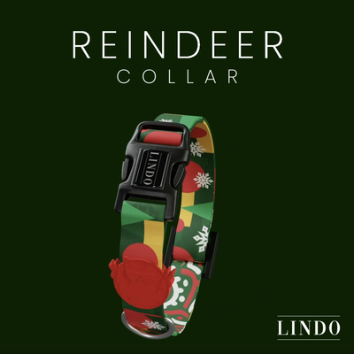 Reindeer Collar - 4