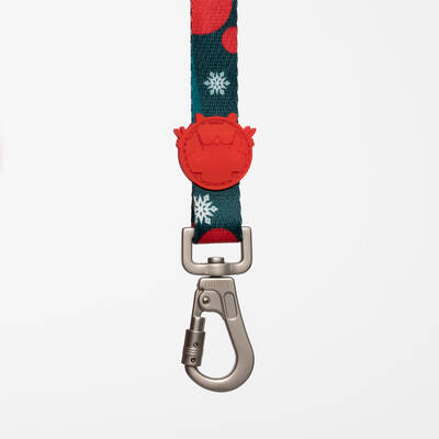 Reindeer Leash - 2
