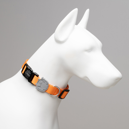 Lindodogs - Royal Collar (1)