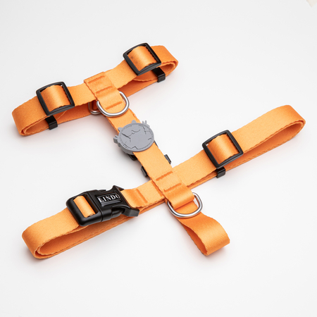 Lindodogs - Royal H-Harness