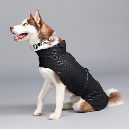 Lindodogs - Softshell Black Stripe Küçük,Orta ve Büyük Irk Köpek Yağmurluğu (1)