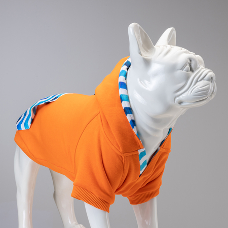 Lindodogs - Sydney Küçük, Orta ve Büyük Irk Köpek Sweatshirt