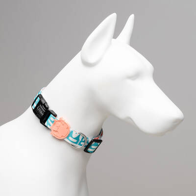 Touch Collar - 2