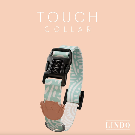 Touch Collar - 4