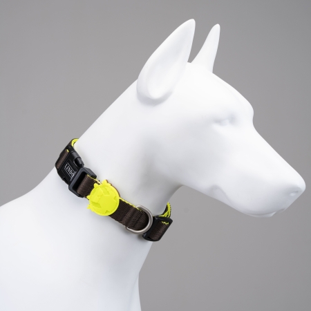 Lindodogs - Urban Glow Dark Coffee Boyun Tasması