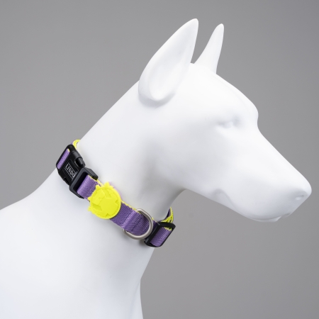 Lindodogs - Urban Glow Purple Boyun Tasması